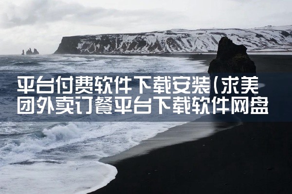 平台付费软件下载安装