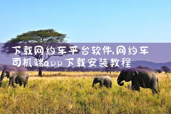 下载网约车平台软件