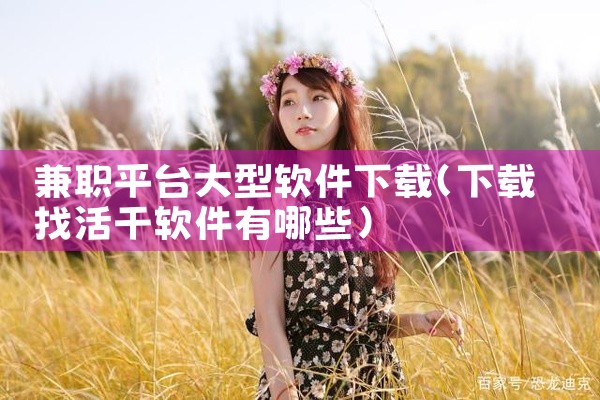 兼职平台大型软件下载