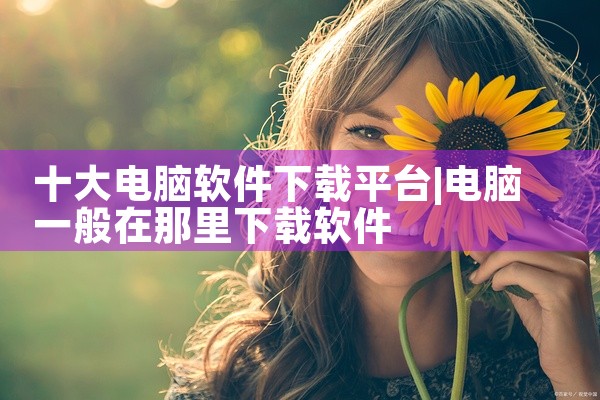 十大电脑软件下载平台
