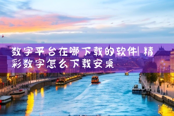 数字平台在哪下载的软件